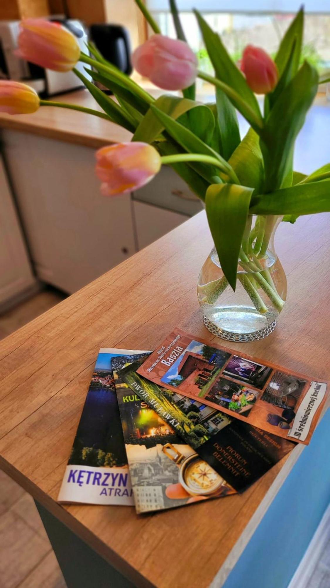 Apartament "Przy Jeziorku" Kętrzyn Dış mekan fotoğraf